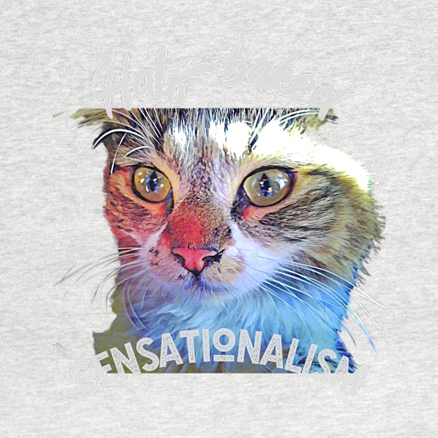 Half-baked Sensationalism (cute kitty) by PersianFMts